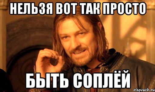 Нельзя вот так просто быть соплёй, Мем Нельзя просто так взять и (Боромир мем)