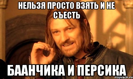 Нельзя просто взять и не съесть баанчика и персика, Мем Нельзя просто так взять и (Боромир мем)