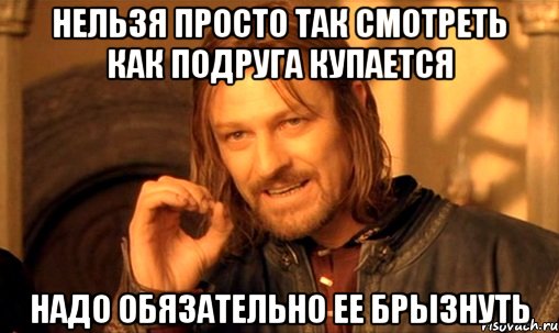 Нельзя просто так смотреть как подруга купается Надо обязательно ее брызнуть, Мем Нельзя просто так взять и (Боромир мем)