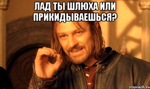 Лад ты шлюха или прикидываешься? , Мем Нельзя просто так взять и (Боромир мем)