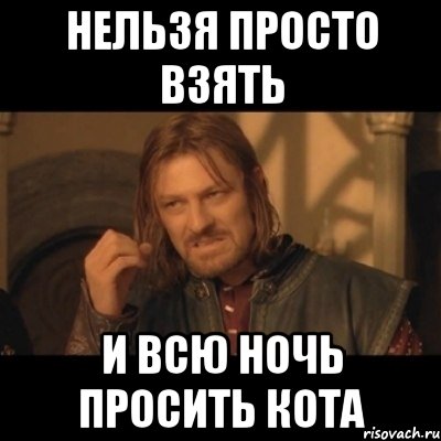 Нельзя просто взять и всю ночь просить кота, Мем Нельзя просто взять