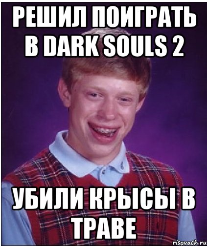 Решил поиграть в DARK SOULS 2 УБИЛИ КРЫСЫ В ТРАВЕ