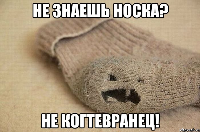 Не знаешь Носка? Не Когтевранец!