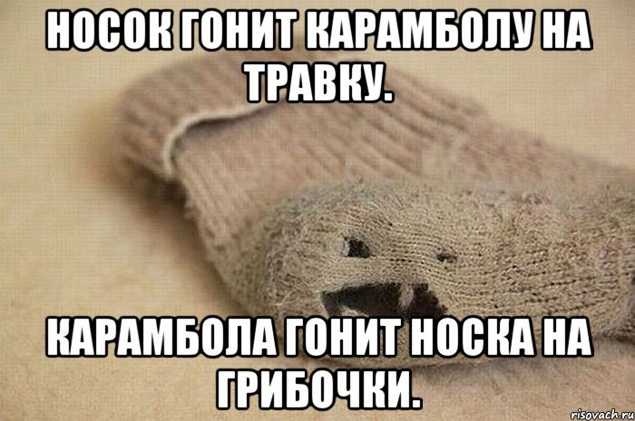Носок гонит Карамболу на травку. Карамбола гонит Носка на грибочки.