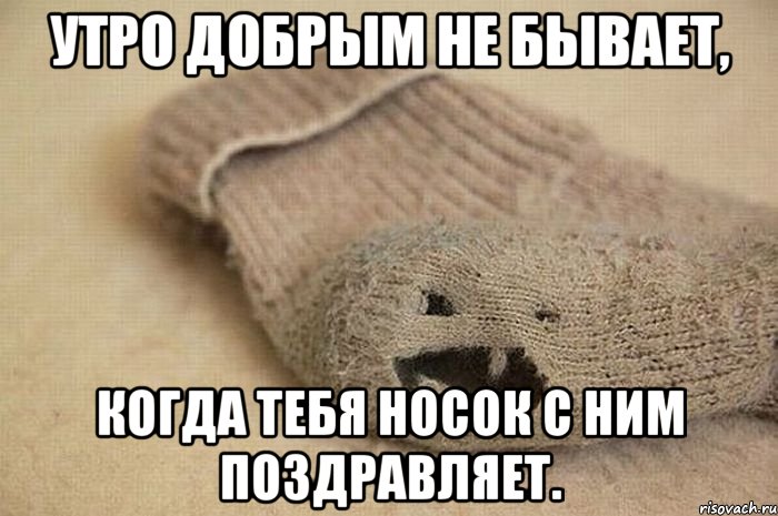 Утро добрым не бывает, когда тебя Носок с ним поздравляет.