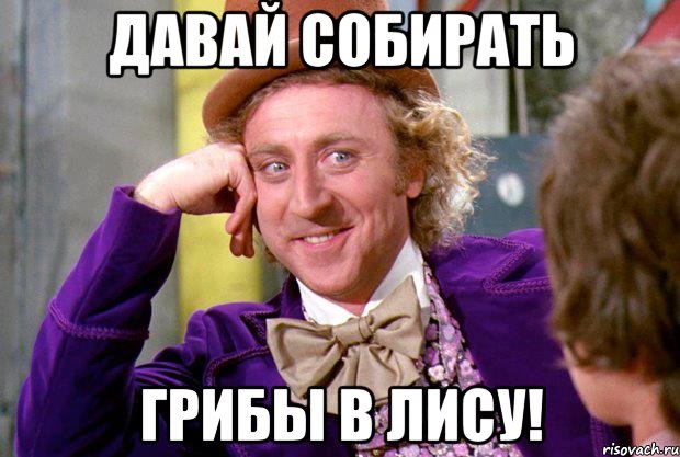давай собирать грибы в лису!, Мем Ну давай расскажи (Вилли Вонка)