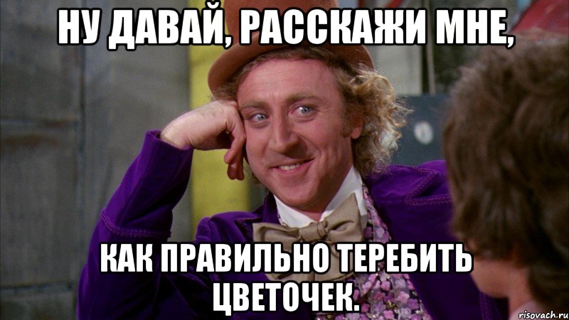 Ну давай, расскажи мне, как правильно теребить цветочек., Мем Ну давай расскажи (Вилли Вонка)
