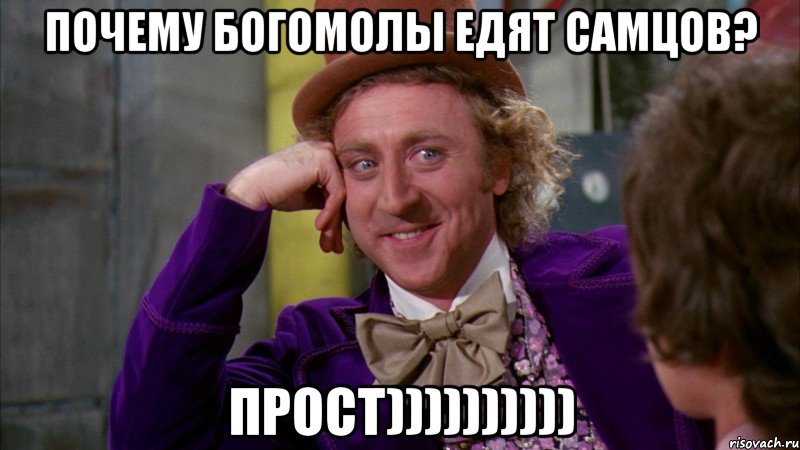 Почему богомолы едят самцов? Прост)))))))))), Мем Ну давай расскажи (Вилли Вонка)