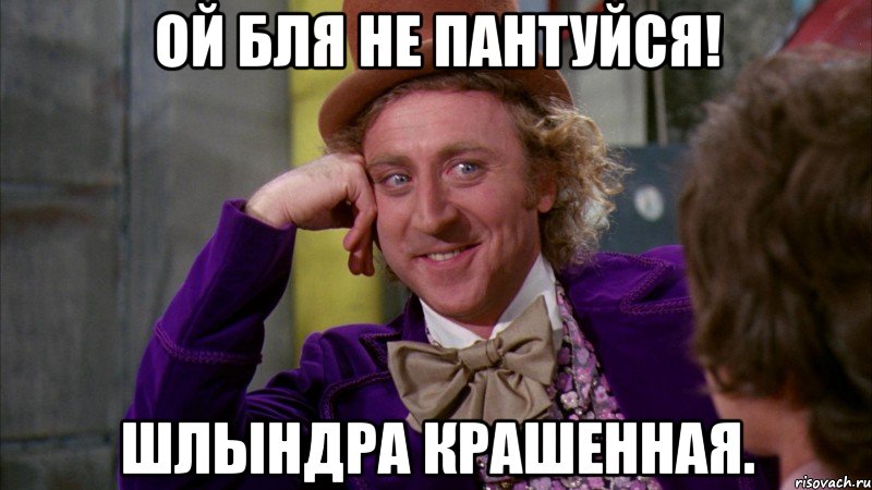 Ой бля не пантуйся! Шлындра крашенная., Мем Ну давай расскажи (Вилли Вонка)