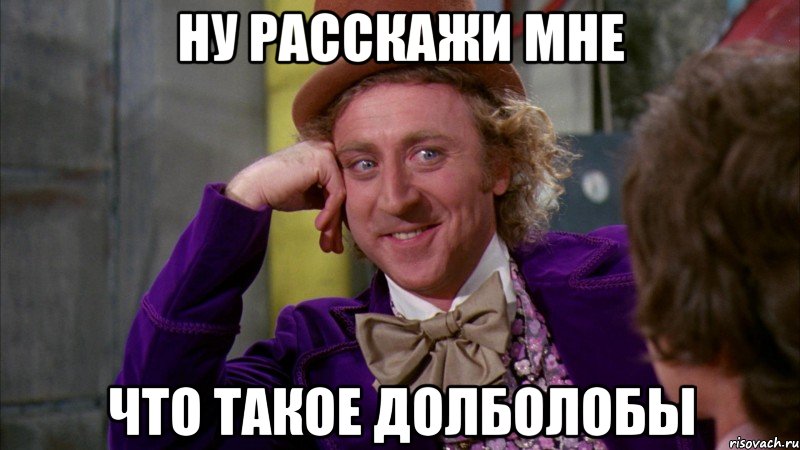 ну расскажи мне что такое долболобы, Мем Ну давай расскажи (Вилли Вонка)