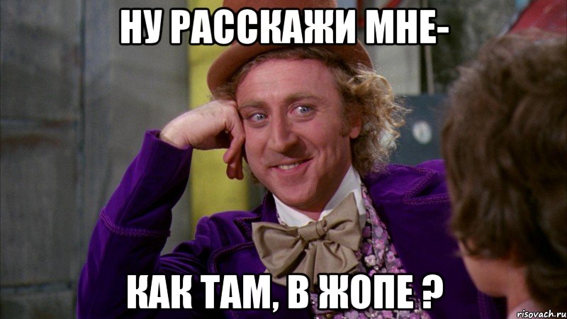 Ну расскажи мне- Как там, в жопе ?, Мем Ну давай расскажи (Вилли Вонка)