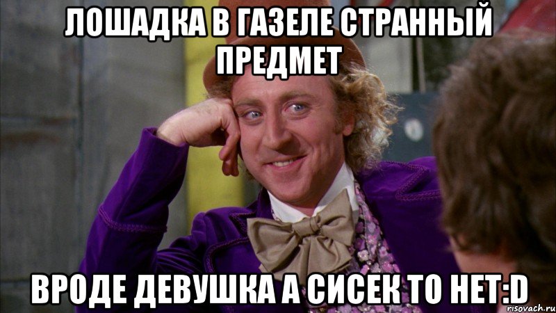 ЛОШАДКА В ГАЗЕЛЕ СТРАННЫЙ ПРЕДМЕТ ВРОДЕ ДЕВУШКА А СИСЕК ТО НЕТ:D, Мем Ну давай расскажи (Вилли Вонка)