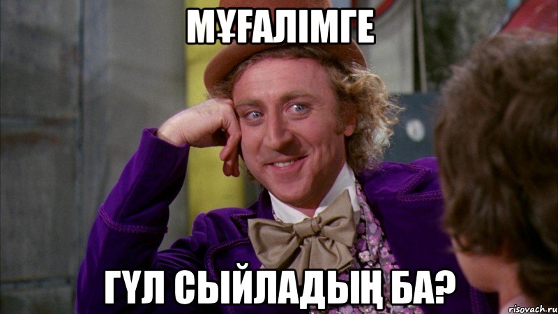 мұғалімге гүл сыйладың ба?, Мем Ну давай расскажи (Вилли Вонка)