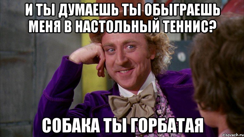 И ты думаешь ты обыграешь меня в настольный теннис? Собака ты горбатая, Мем Ну давай расскажи (Вилли Вонка)