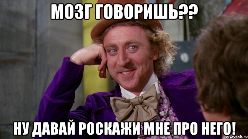 мозг говоришь?? ну давай роскажи мне про него!, Мем Ну давай расскажи (Вилли Вонка)