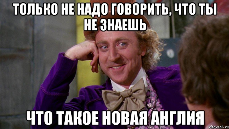 только не надо говорить, что ты не знаешь что такое новая англия, Мем Ну давай расскажи (Вилли Вонка)