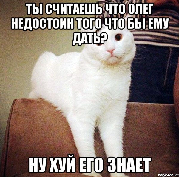 Ты считаешь что олег недостоин того что бы ему дать? ну хуй его знает