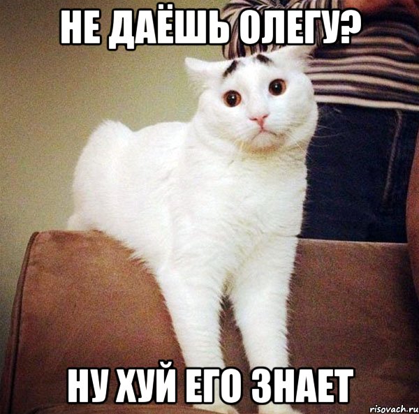 не даёшь олегу? ну хуй его знает