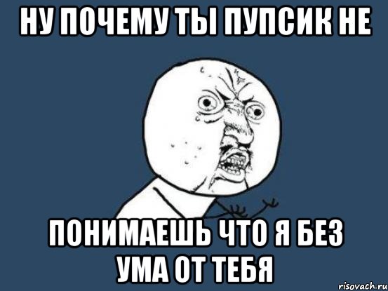 НУ ПОЧЕМУ ТЫ ПУПСИК НЕ ПОНИМАЕШЬ ЧТО Я БЕЗ УМА ОТ ТЕБЯ, Мем Ну почему