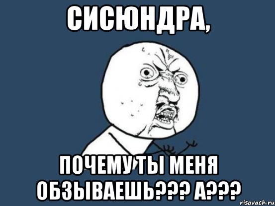 сисюндра, почему ты меня обзываешь??? а???, Мем Ну почему