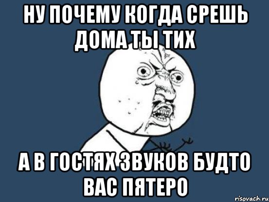 Ну почему когда срешь дома ты тих А в гостях звуков будто вас пятеро, Мем Ну почему