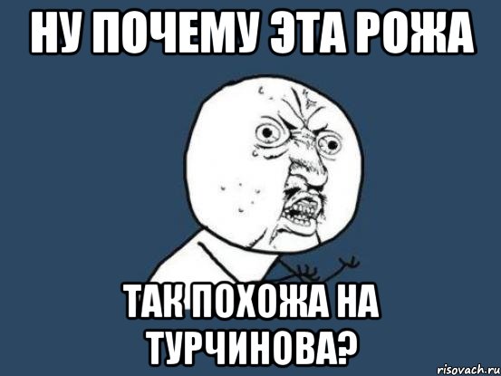 ну почему эта рожа так похожа на турчинова?, Мем Ну почему