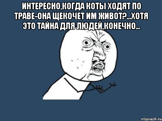 интересно,когда коты ходят по траве-она щекочет им живот?...хотя это тайна для людей,конечно... , Мем Ну почему