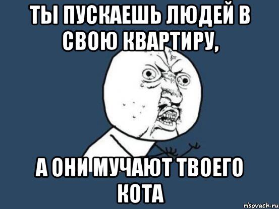 Ты пускаешь людей в свою квартиру, а они мучают твоего кота, Мем Ну почему