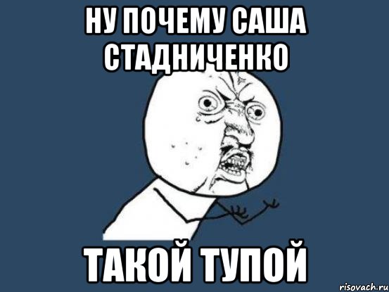 НУ ПОЧЕМУ САША СТАДНИЧЕНКО ТАКОЙ ТУПОЙ, Мем Ну почему