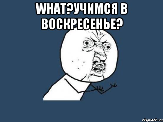 What?учимся в Воскресенье? , Мем Ну почему