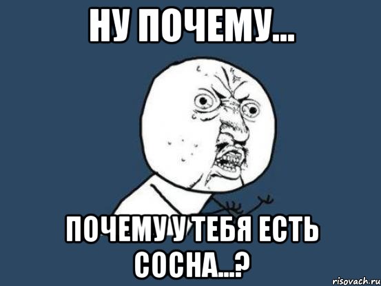 Ну Почему... Почему у тебя есть сосна...?, Мем Ну почему