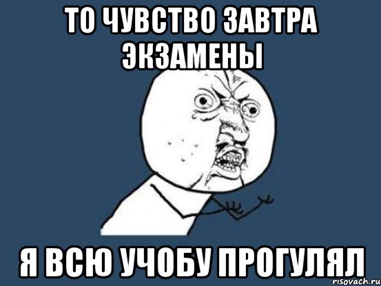 то чувство завтра экзамены я всю учобу прогулял, Мем Ну почему