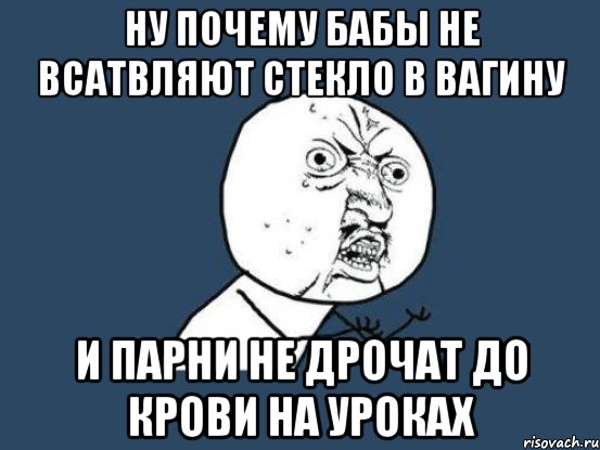 ну почему бабы не всатвляют стекло в вагину и парни не дрочат до крови на уроках, Мем Ну почему