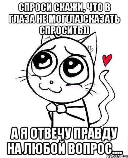 Спроси скажи, что в глаза не мог(ла)сказать спросить)) А Я ОТВЕЧУ правду на любой вопрос...., Мем  Котейка-няша