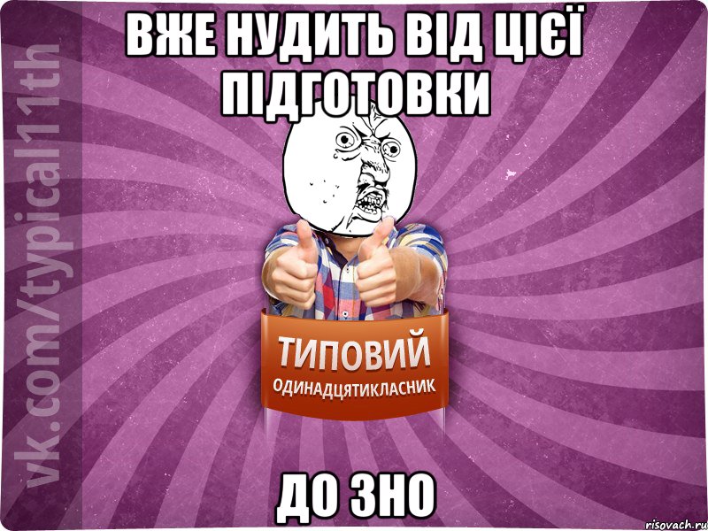 вже нудить від цієї підготовки до зно