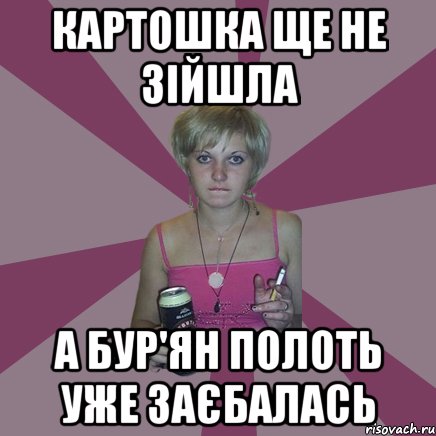 картошка ще не зійшла а бур'ян полоть уже заєбалась, Мем Чотка мала