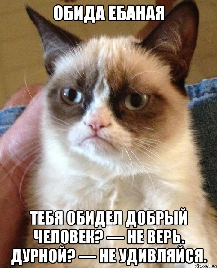 ОБИДА ЕБАНАЯ Тебя обидел добрый человек? — Не верь. Дурной? — Не удивляйся.