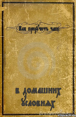 Как приручить член в домашних условиях, Комикс обложка книги