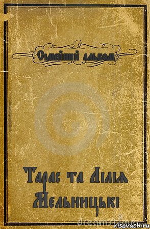 Сімейний альбом Тарас та Лілія Мельницькі, Комикс обложка книги