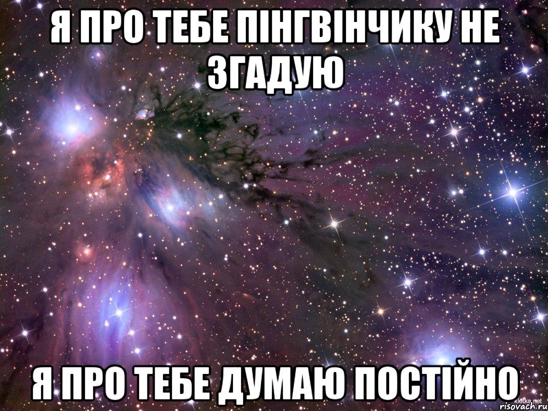 Я про тебе пінгвінчику не згадую я про тебе думаю постійно, Мем Космос