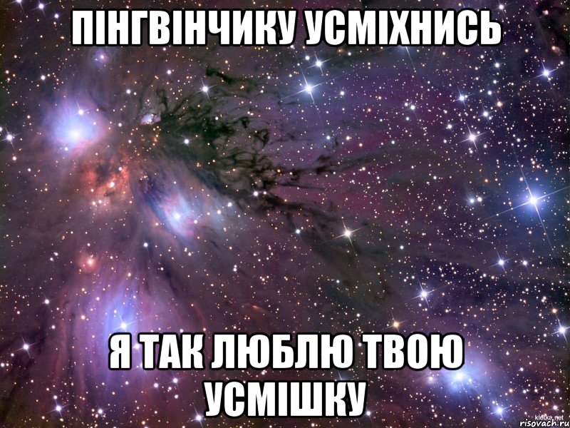 пінгвінчику усміхнись я так люблю твою усмішку, Мем Космос