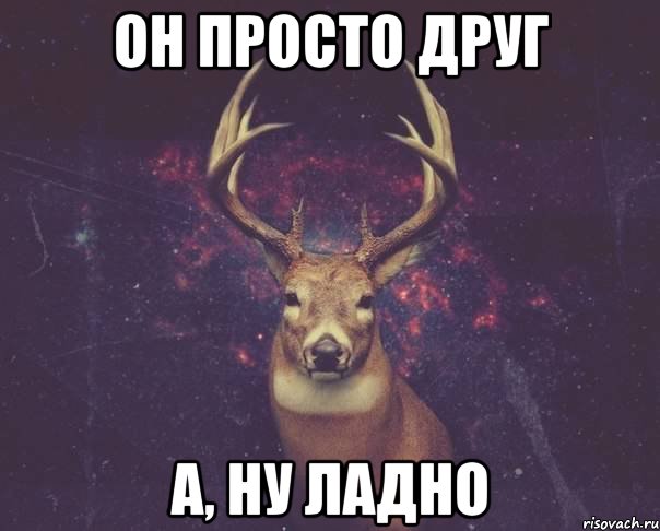 ОН ПРОСТО ДРУГ А, НУ ЛАДНО, Мем  олень наивный