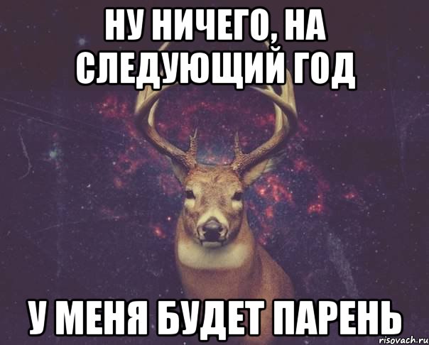 НУ НИЧЕГО, НА СЛЕДУЮЩИЙ ГОД У МЕНЯ БУДЕТ ПАРЕНЬ