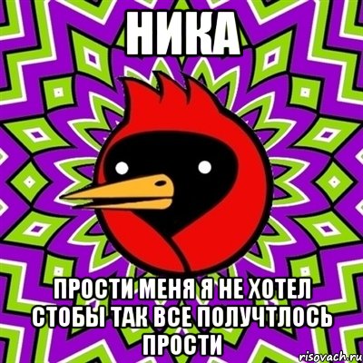 Ника прости меня я не хотел стобы так все получтлось прости, Мем Омская птица