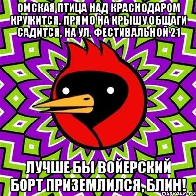 ОМСКАЯ ПТИЦА НАД КРАСНОДАРОМ КРУЖИТСЯ, ПРЯМО НА КРЫШУ ОБЩАГИ САДИТСЯ, НА УЛ. ФЕСТИВАЛЬНОЙ 21 ЛУЧШЕ БЫ ВОЙЕРСКИЙ БОРТ ПРИЗЕМЛИЛСЯ, БЛИН!, Мем Омская птица