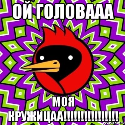 Ой головааа Моя кружицаа!!!!!!!!!!!!!!!!, Мем Омская птица