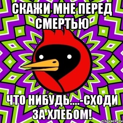 Скажи мне перед смертью Что нибудь....-Сходи за хлебом!, Мем Омская птица