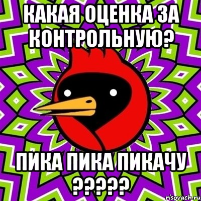 какая оценка за контрольную? пика пика пикачу ?????, Мем Омская птица