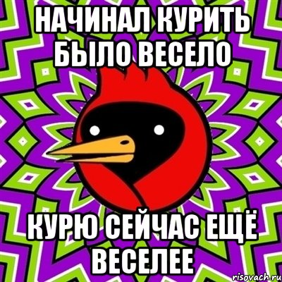 Начинал курить было весело Курю сейчас ещё веселее, Мем Омская птица