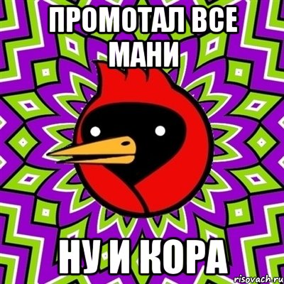 промотал все мани ну и кора, Мем Омская птица